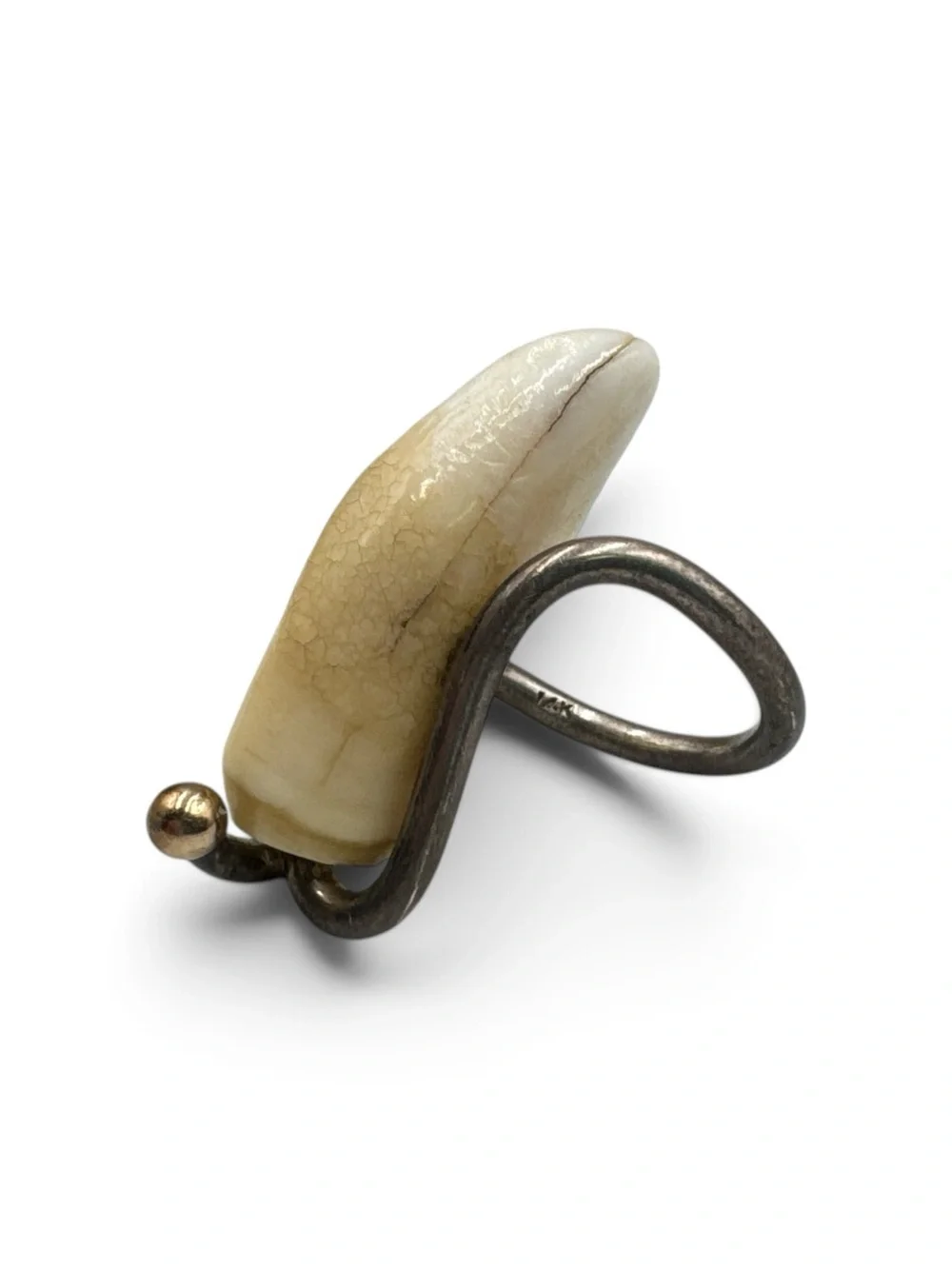 Sterling Silver 14K Gold Hyena Tooth Ring Taxidermy Oddities Statement Ring